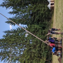 PXL_20210720_170611270