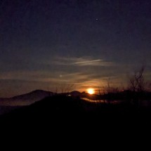 PXL_20221112_175007281.NIGHT