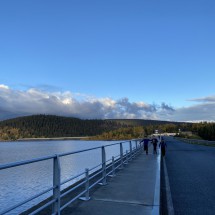 IMG_0438