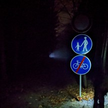 PXL_20221021_190519397