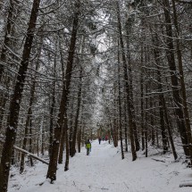 PXL_20221217_110908435