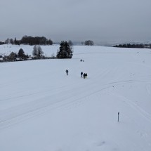 PXL_20221217_115834314