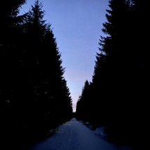 IMG_1605
