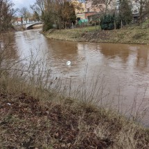 PXL_20230311_115031516