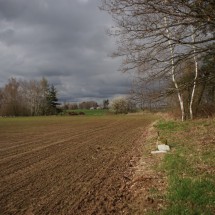 DSC01420