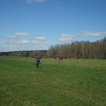 DSC02307