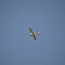 DSC_1073