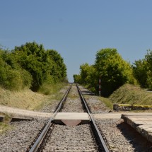 DSC_1075