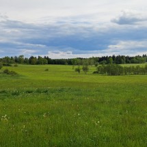 IMG-20240521-WA0006