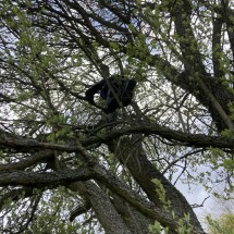 IMG_0970