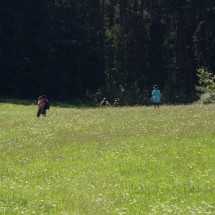 2024-07-16-15h03m42