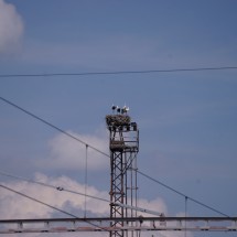 2024-07-19-14h27m33