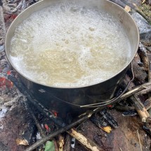 IMG-20241013-WA0005