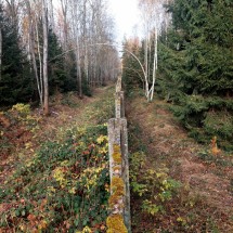 IMG-20241120-WA0021