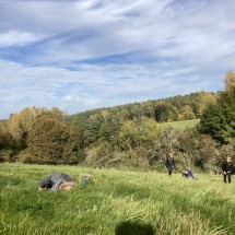 IMG_4557