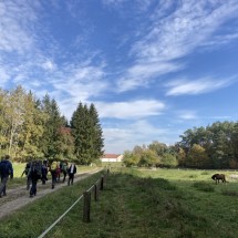 IMG_4567