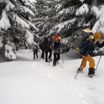 IMG_0953