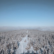 IMG_20250302_093438_1