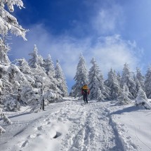 IMG_9171