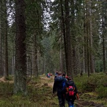 IMG_20251115_112452