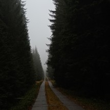 IMG_20251115_115014