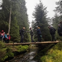 IMG_2768