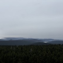 IMG_2787