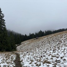 IMG_1846