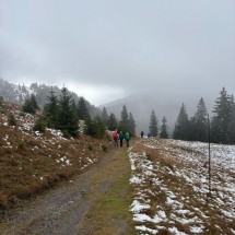 IMG_1859