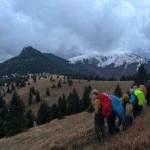 IMG_1905