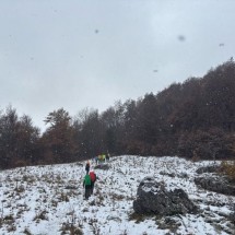 IMG_1933