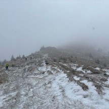 IMG_1962