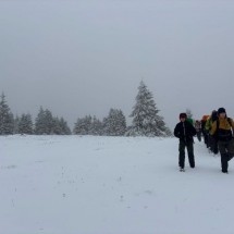IMG_1986