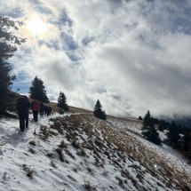 IMG_2111