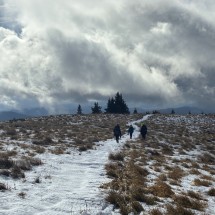 IMG_2742