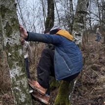 IMG_3532