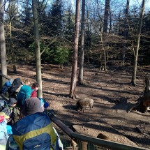 IMG_20260425_085322