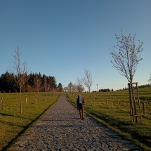 IMG_20260425_194313