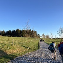 IMG_2876