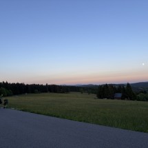 IMG_6335
