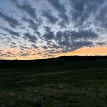 IMG_9546
