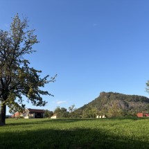 IMG_9583