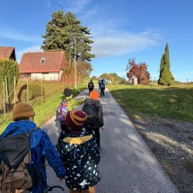 IMG_6372